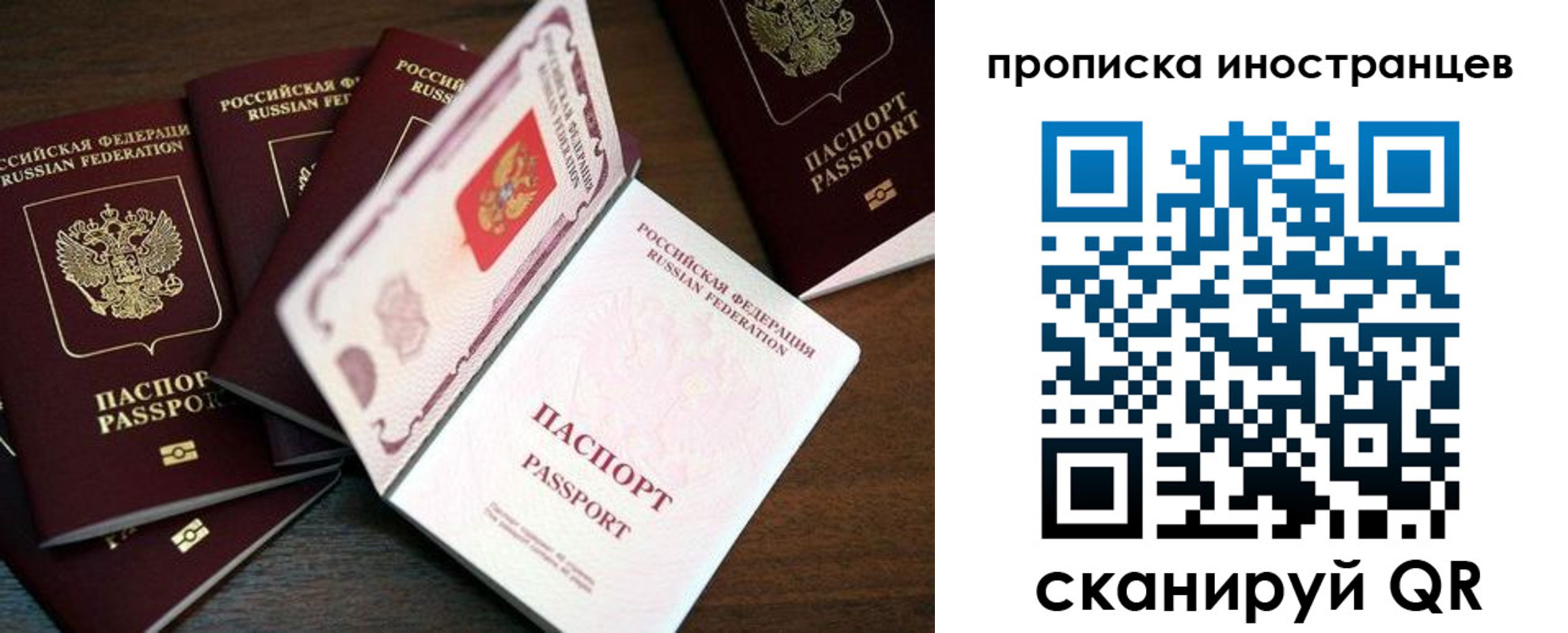 временная регистрация гарантия в Светлогорске